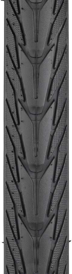TR0291-01.jpg