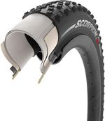 TR7099-03.jpg