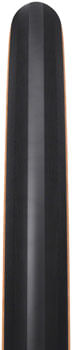 TR3061-02.jpg