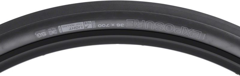 TR1274-01.jpg