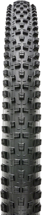 TR0408-01.jpg
