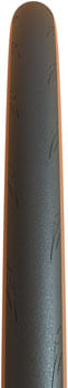 TR7455-01.jpg