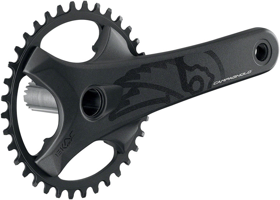 Campagnolo EKAR GT Crankset - 170mm, 13-Speed, 38t, 123mm BCD