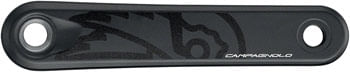 CK1273-02.jpg
