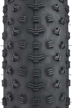 TR1301-01.jpg