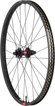 Quality Wheels DT 240 / Reserve 30 SL Carbon Rear Wheel - 29", 12 x 148mm, 6-Bolt, XD, Ratchet DEG 90, Carbon