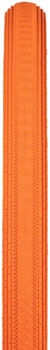 TR7816-01.jpg