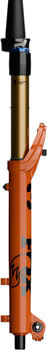 FK2781-02.jpg