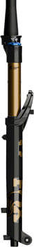 FK1442-02.jpg