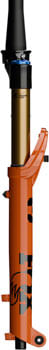 FK1441-02.jpg