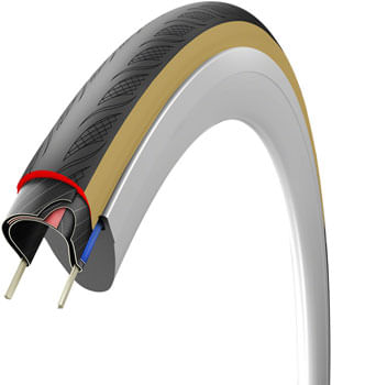 TR9729-02.jpg