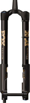 FK1166-01.jpg