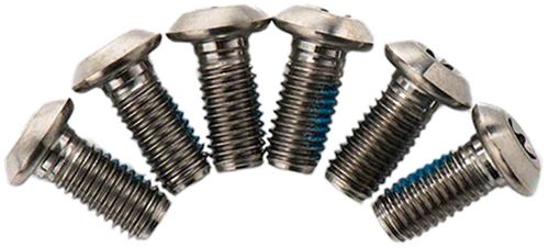 TRP Disc Brake Rotor Torx Bolts - Titanium, T25, 6 pk.