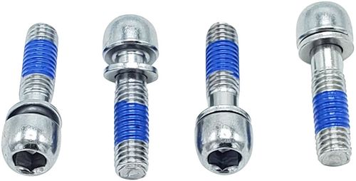 FSA Titanium Bolts for OS-99 Stem, M5 x 18mm