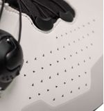 SH03954-11.jpg