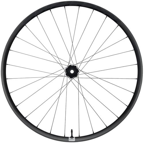 RaceFace Era SL Front Wheel - 29", 15 x 110mm, 6-Bolt, Carbon Black