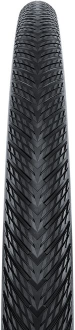 TR9848-01.jpg