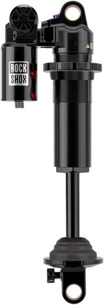 RS8981-01.jpg