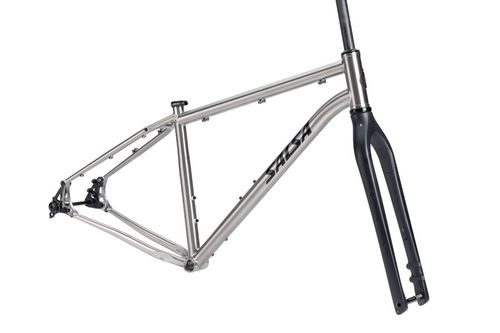 Salsa Fargo Ti Frameset - 29", Titanium, Brushed Titanium, X-Small
