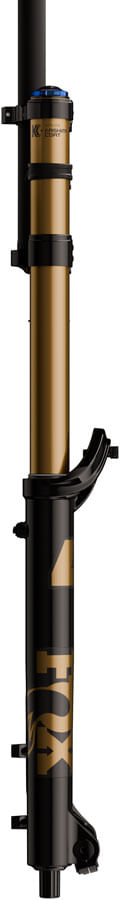 FK2895-02.jpg