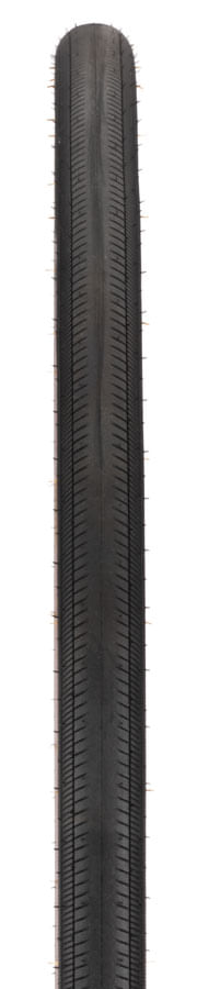 TR00004.jpg