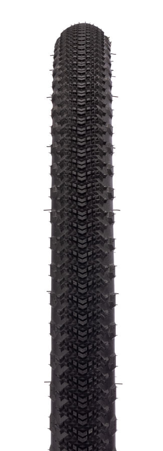TR00025.jpg