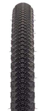 TR00026.jpg
