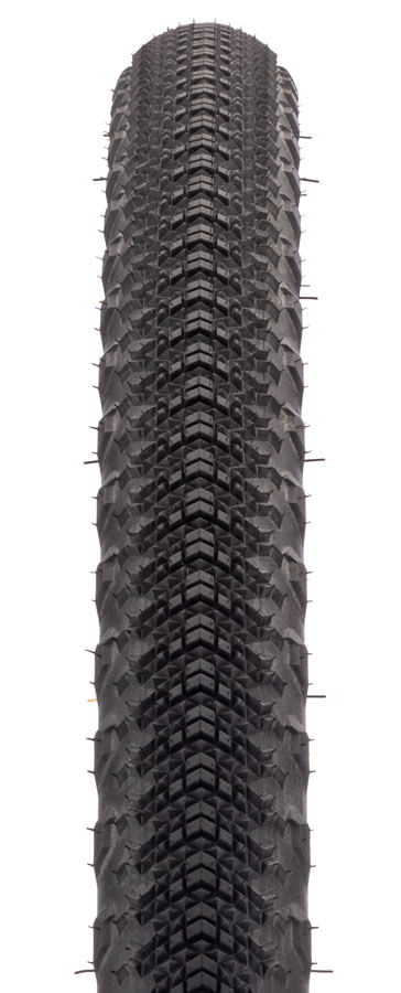 TR00026.jpg