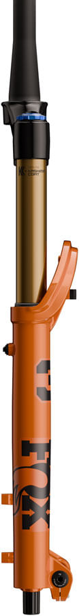FK2892-02.jpg