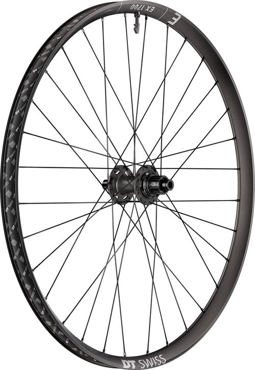 DT Swiss EX 1700 Classic 30 Rear Wheel - 29", 12 x 148mm, Center-Lock, Micro Spline, DEG 72 DF, Black