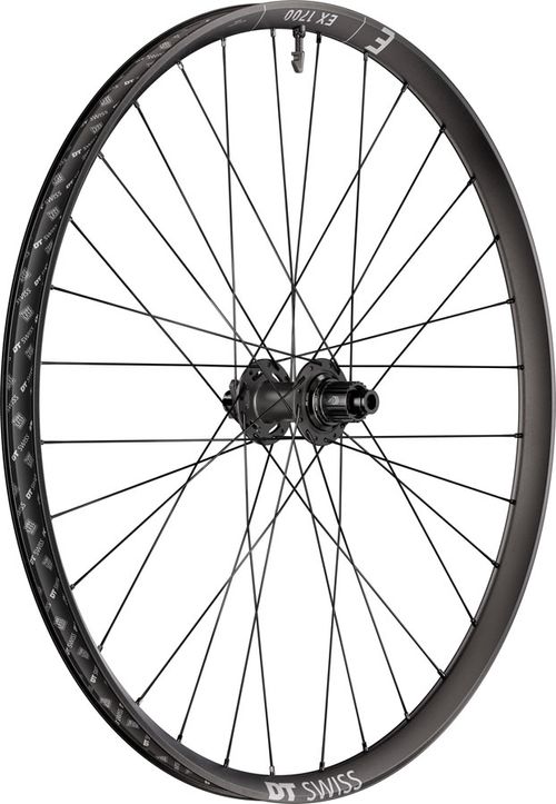 DT Swiss EX 1700 Classic 30 Rear Wheel - 29", 12 x 148mm, 6-Bolt, Micro Spline, DEG 72 DF, Black