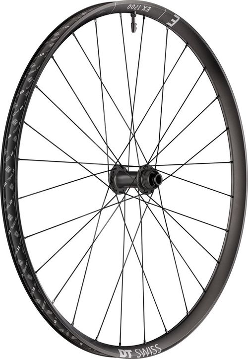 DT Swiss EX 1700 Classic 30 Front Wheel - 29", 15 x 110mm, Center-Lock, Black
