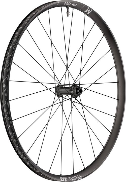 DT Swiss XM 1700 Spline 30 Front Wheel - 27.5", 15 x 110mm, Center-Lock, Black