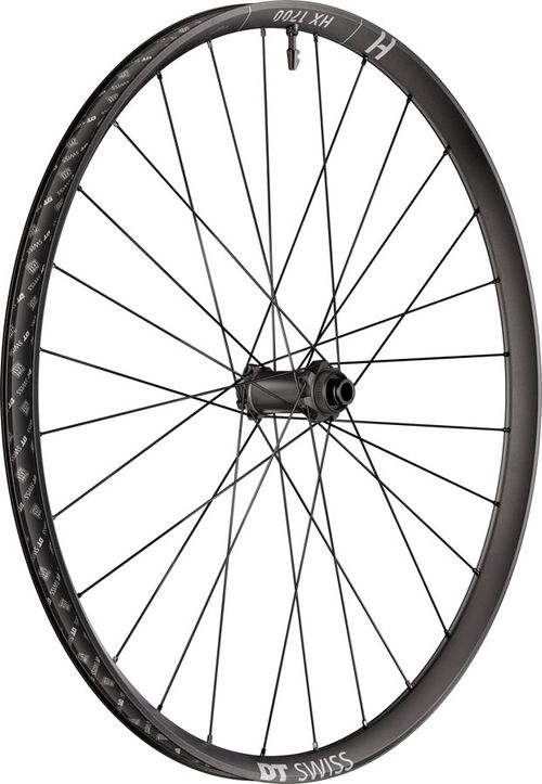 DT Swiss HX 1700 Spline 30 Front Wheel - 29", 15 x 110mm, Center-Lock, Black