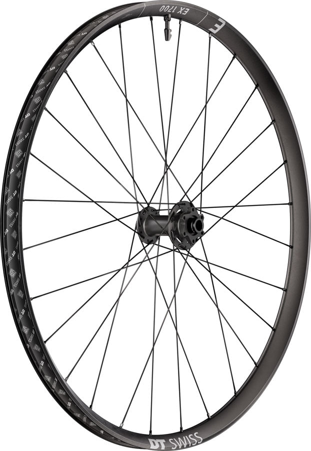 WE3906.jpg