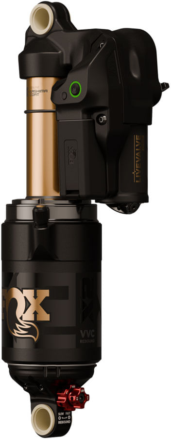 RS1154.jpg