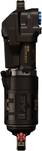 RS1154-02.jpg