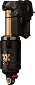 RS1156.jpg