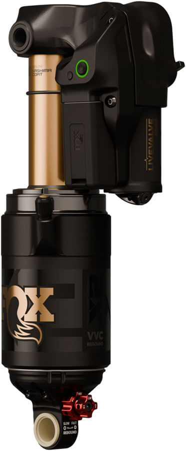 RS1156.jpg