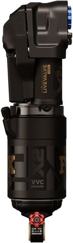 RS1156-02.jpg