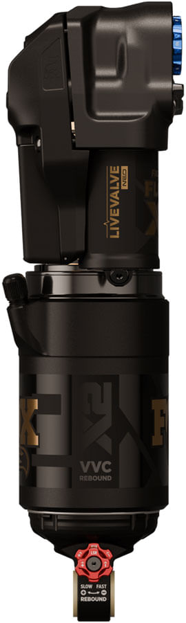 RS1156-02.jpg