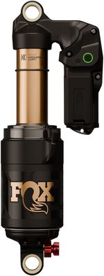 RS1154-01.jpg