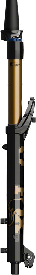 FK2786-02.jpg